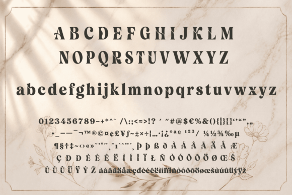 Velour Delamio: The Statement Display Serif